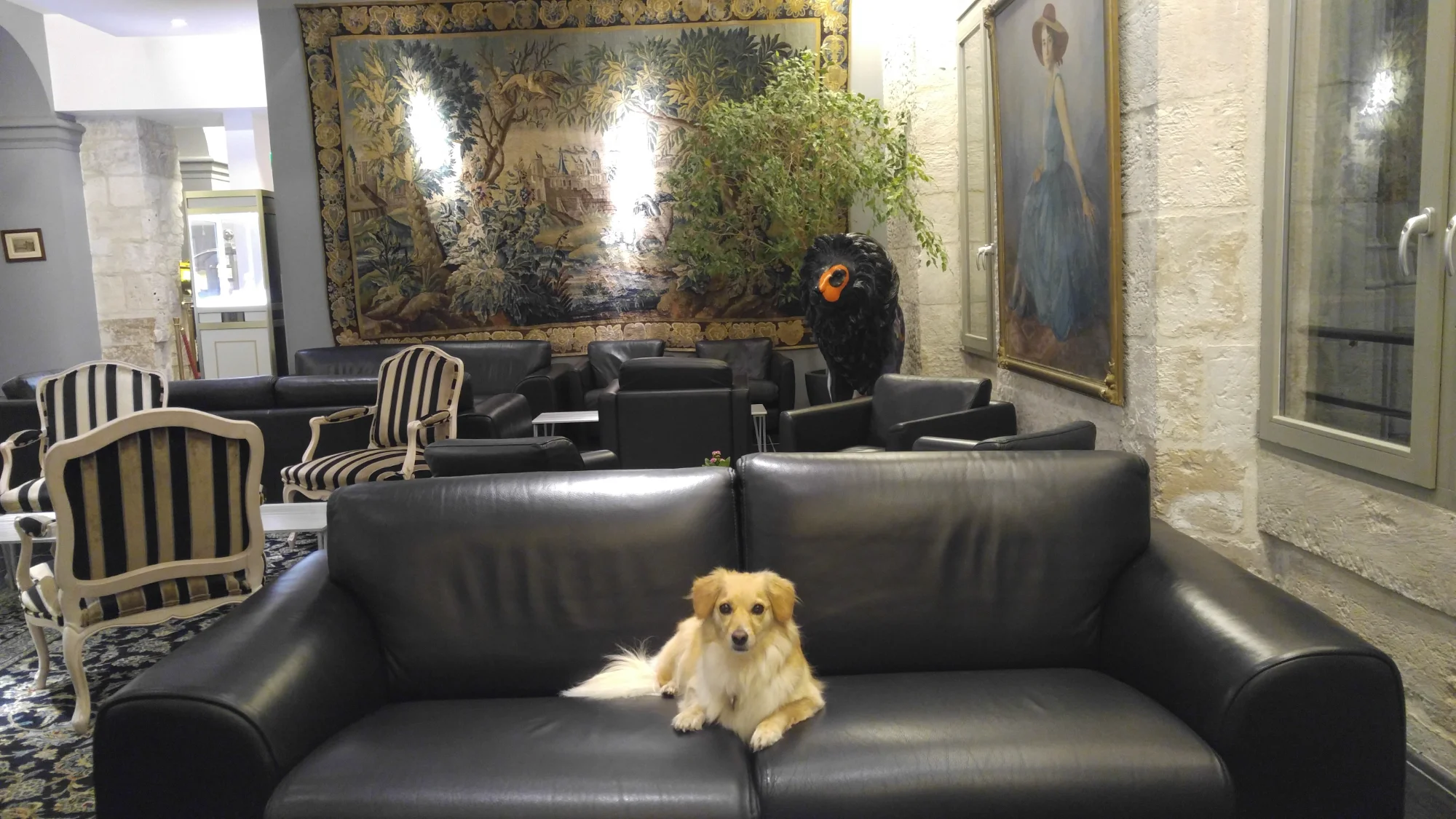 Travel Pup Adventure